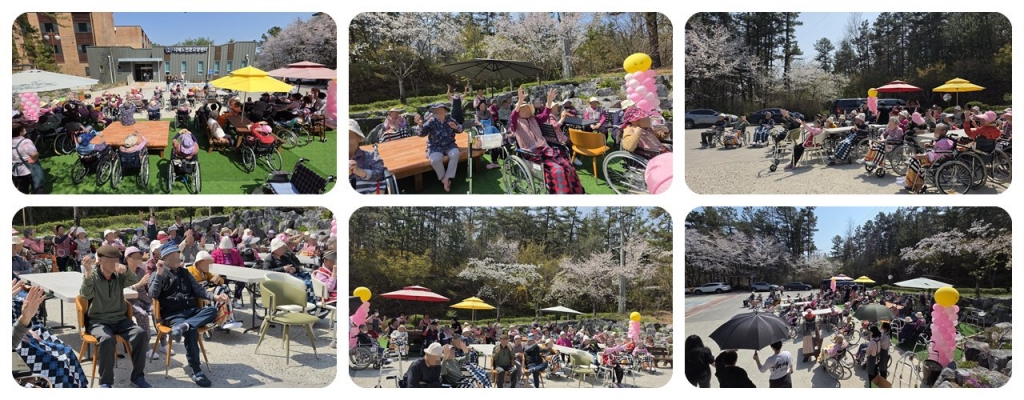 2026년 4월 둘째 주, 치매 2 '힘뇌체조'